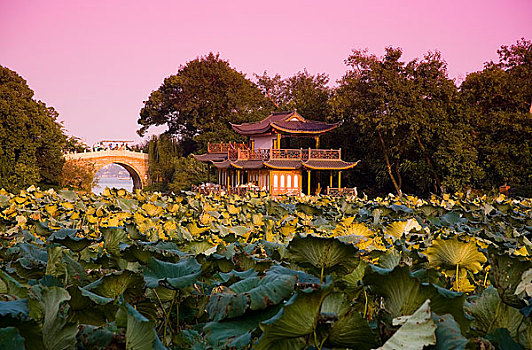 xs quảng ngãi