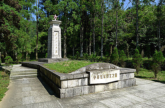 soi cau mb da co bach thu