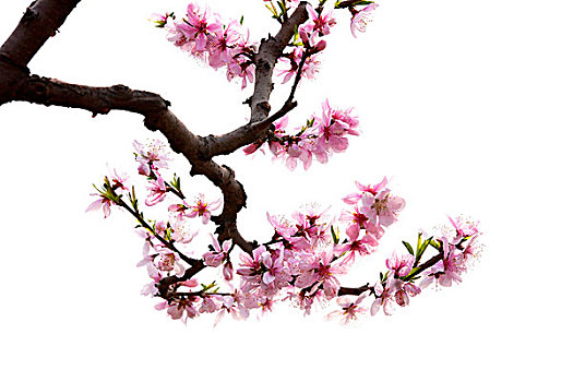 xổ số dự đoán miền bắc