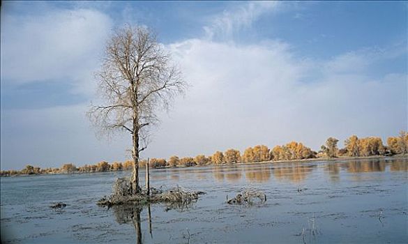 xổ số thành phố hôm nay
