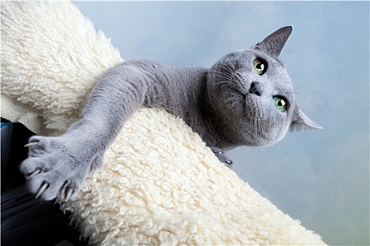 xổ số bình định thứ năm hàng tuần