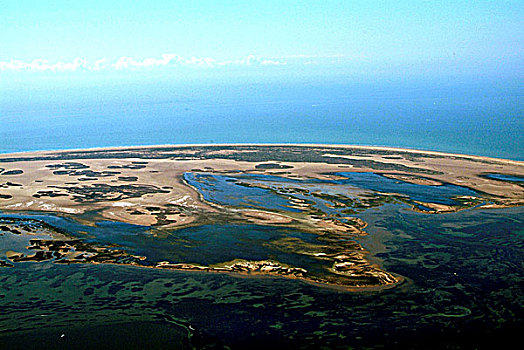 con lô đẹp hôm nay