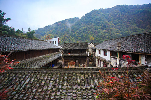 soi cau bach thu xsmb hom nay